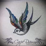 Gyönyörű fecske rajz - amely tökéletes vázlatként egy érdekes fecsketetováláshoz