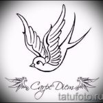 Gyönyörű fecske rajz - amely tökéletes vázlatként egy hűvös fecsketetováláshoz