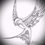 Egy fecske eredeti rajza - amely hűvös, mint vázlat egy hűvös fecsketetováláshoz