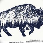 fotó Vázlatok egy erdei tetoválásról, 2017. 09. 29 -én, 006 - Vázlatok egy erdei tetoválásról -