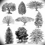 fotó Vázlatok egy erdei tetoválásról, 2017. 09. 29 -én, 007 - Vázlatok egy erdei tetoválásról -