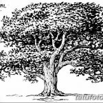 fotó Vázlatok egy erdei tetoválásról, 2017. 09. 29 -én, 008 - Vázlatok egy erdei tetoválásról -