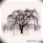 fotó Vázlatok egy erdei tetoválásról, 2017. 09. 29 -én №021 - Vázlatok egy erdei tetoválásról -