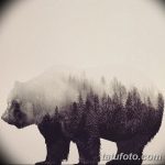 fotó Vázlatok egy erdei tetoválásról, 2017. 09. 29 -én №024 - Vázlatok egy erdei tetoválásról -