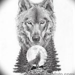 fotó Vázlatok egy erdei tetoválásról, 2017. 09. 29 -én №033 - Vázlatok egy erdei tetoválásról -