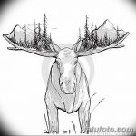 fotó Vázlatok egy erdei tetoválásról, 2017. 09. 29 -én №035 - Vázlatok egy erdei tetoválásról -