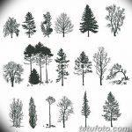 fotó Vázlatok egy erdei tetoválásról, 2017. 09. 29 -én №052 - Vázlatok egy erdei tetoválásról -