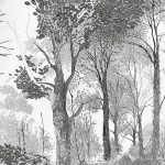 fotó Vázlatok egy erdei tetoválásról, 2017. 09. 29 -én №063 - Vázlatok egy erdei tetoválásról -