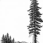 fotó Vázlatok egy erdei tetoválásról, 2017. 09. 29 -én №064 - Vázlatok egy erdei tetoválásról -