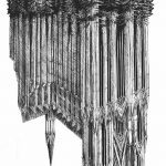 fotó Vázlatok egy erdei tetoválásról, 2017. 09. 29 -én №068 - Vázlatok egy erdei tetoválásról -