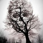 fotó Vázlatok egy erdei tetoválásról, 2017. 09. 29 -én №079 - Vázlatok egy erdei tetoválásról -