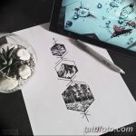 fotó Vázlatok egy erdei tetoválásról, 2017. 09. 29 -én №080 - Vázlatok egy erdei tetoválásról -