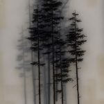 fotó Vázlatok egy erdei tetoválásról, 2017. 09. 29 -én №083 - Vázlatok egy erdei tetoválásról -