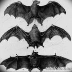 fotó Vázlatok egy denevér tetoválásról, 2017. szeptember 27 -én, №017 - Vázlatok egy denevér tetoválásról -