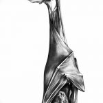 fotó Vázlatok egy denevér tetoválásról, 2017. szeptember 27 -én, №058 - Vázlatok egy denevér tetoválásról -