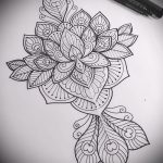 Fotós vázlatok a tetováló lótuszról - 19062017 - példa - 123 vázlat a tetováló lótuszról -