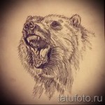 Medve tetoválás vázlat - gyönyörű lehetőség