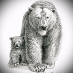 Medve tetoválás vázlata 13