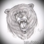 Medve tetoválás vázlata 31