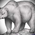 Medve tetoválás vázlata 32