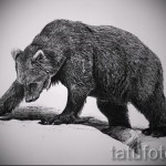 Medve tetoválás vázlata 53