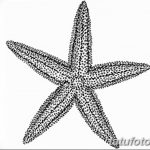 fotó Vázlatok egy tengeri csillag tetoválásról, 2017.10.31. №012 - Vázlatok egy tengeri csillag tetoválásról