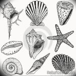 fotó Vázlatok egy tengeri csillag tetoválásról, 2017.10.31. №018 - Vázlatok egy tengeri csillag tetoválásról