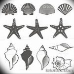 fotó Vázlatok egy tengeri csillag tetoválásról, 2017.10.31. №029 - Vázlatok egy tengeri csillag tetoválásról