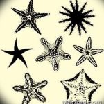 fotó Vázlatok egy tengeri csillag tetoválásról, 2017.10.31. №041 - Vázlatok egy tengeri csillag tetoválásról