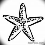 fotó Vázlatok egy tengeri csillag tetoválásról, 2017.10.31. №055 - Vázlatok egy tengeri csillag tetoválásról 3246234