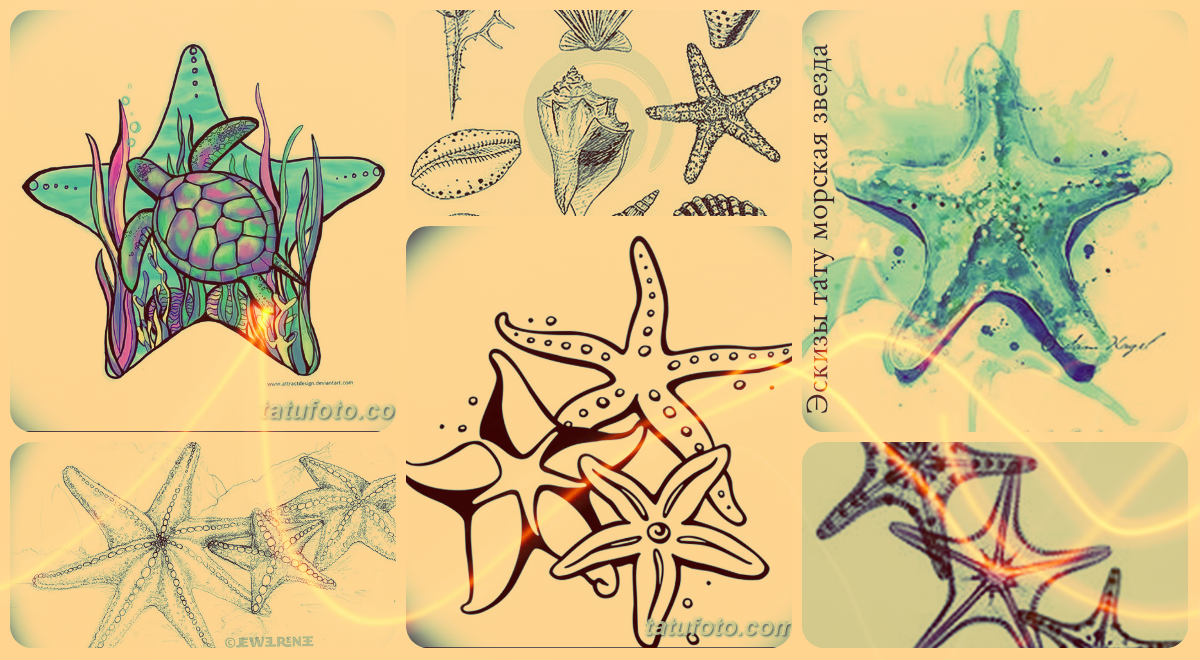 Vázlatok a tengeri csillag tetoválásról - rajzgyűjtemény