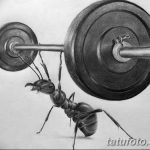 снимка Скица на татуировка на мравка от 09/07/2017 №008 - Скица на татуировка на мравка -