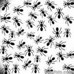 снимка Скица на татуировка на мравка от 09.07.2017 г. №061 - Скица на татуировка на мравка -