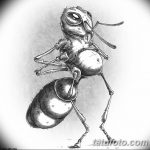 снимка Скица на татуировка на мравка от 09.07.2017 г. №086 - Скица на татуировка на мравка -