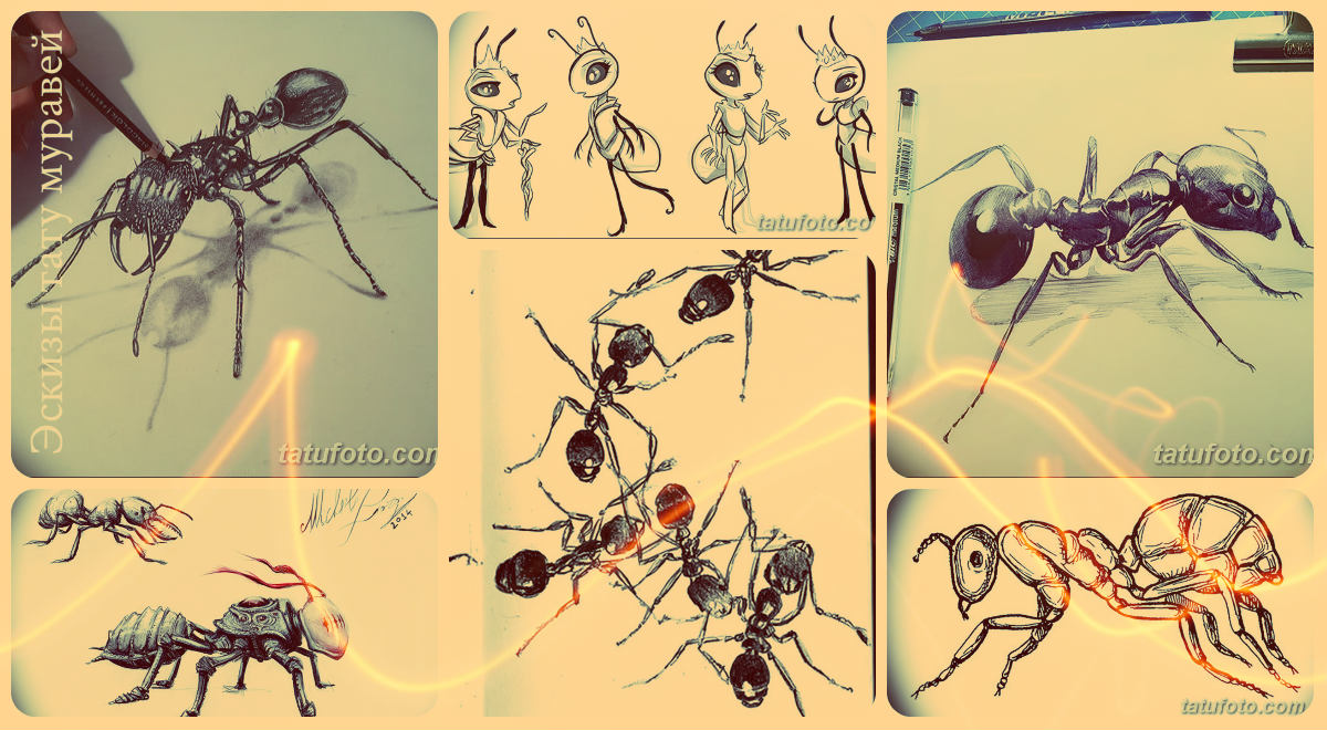 Дизайн на татуировка на мравка - колекция от рисунки за татуировки