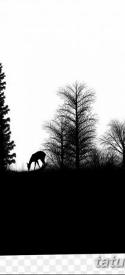 erdei tetoválás a kézen vázlat - 03/08/2019 - 12