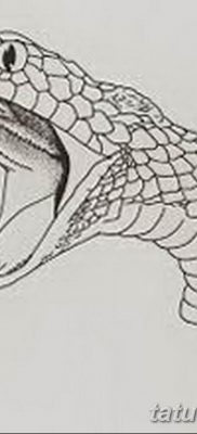kígyó tetoválás vázlat a karon - 2019.03.08 - ё13