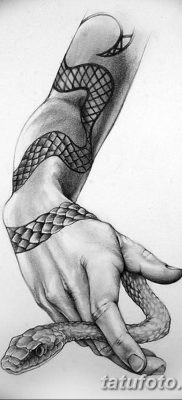 kígyó tetoválás vázlat a karon - 2019.03.03 - 5