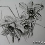 fotó Vázlatok egy nárcisz tetoválásról 2018.04.18 -án №021 - Vázlatok nárciszról -