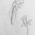 fotó Vázlatok egy nárcisz tetoválásról 2018.04.18 -án №042 - Vázlatok nárciszról -