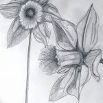 fotó Vázlatok egy nárcisz tetoválásról 2018.04.18 -án №049 - Vázlatok nárciszról -