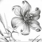 fotó Vázlatok egy nárcisz tetoválásról 2018.04.18 -án №056 - Vázlatok nárciszról -