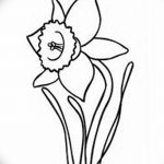 fotó Vázlatok egy nárcisz tetoválásról 2018.04.18 -án №065 - Vázlatok nárciszról -