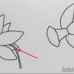 fotó Vázlatok egy nárcisz tetoválásról 2018.04.18 -án №069 - Vázlatok nárciszról -