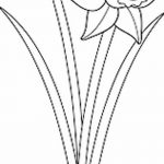 fotó Vázlatok egy nárcisz tetoválásról 2018.04.18 -án №073 - Vázlatok nárciszról -