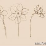 fotó Vázlatok egy nárcisz tetoválásról 2018.04.18 -án №081 - Vázlatok nárciszról -