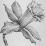 fotó Vázlatok egy nárcisz tetoválásról 2018.04.18. №083 - Vázlatok a nárciszról - 347345354 36345
