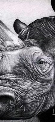orrszarvú tetoválás vázlat 02.02.2020 №014 -orrszarvú tetoválás vázlatok-