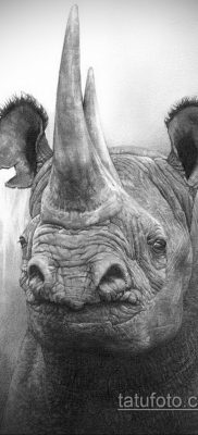 orrszarvú tetoválás vázlat fotó 02.02.2020 №041 -Rhino tetoválás vázlatok-