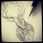 szarvas tetoválás vázlat 2019.02.23 №035 - vázlat tetoválás szarvas -